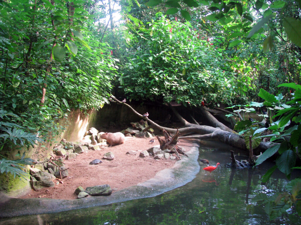 «Burgers' Zoo» - африканское сафари в Северной Европе.