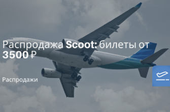 Новости - Распродажа Scoot: билеты от 3500 ₽