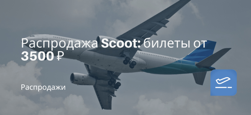 Новости - Распродажа Scoot: билеты от 3500 ₽