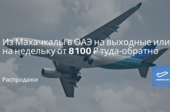 Новости - Из Махачкалы в ОАЭ на выходные или на недельку от 8100 ₽ туда-обратно