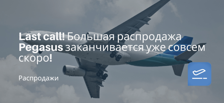 Новости - Last call! Большая распродажа Pegasus заканчивается уже совсем скоро!