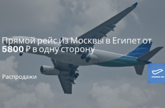 Выбираем направление вместе - Прямой рейс из Москвы в Египет от 5800 ₽ в одну сторону