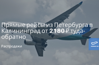 Куда поехать? Обзоры отелей - Прямые рейсы из Петербурга в Калининград от 2180 ₽ туда-обратно
