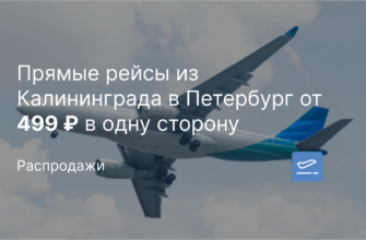 Из регионов - Прямые рейсы из Калининграда в Петербург от 499 ₽ в одну сторону