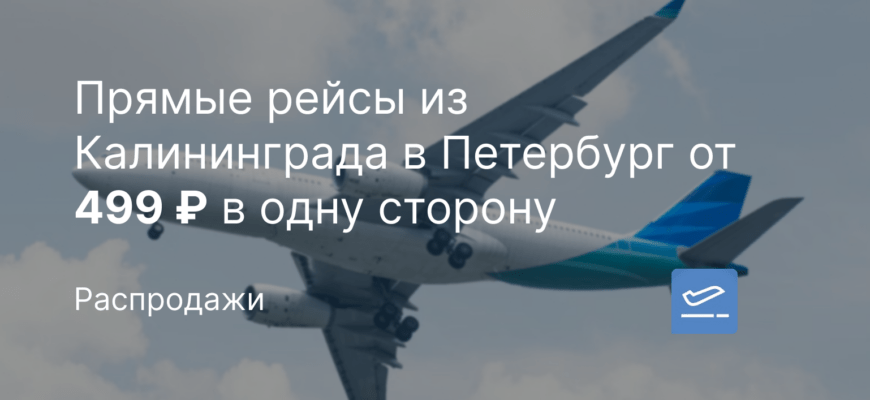 Новости - Прямые рейсы из Калининграда в Петербург от 499 ₽ в одну сторону