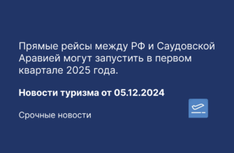 Москвы - Прямые рейсы между РФ и Саудовской Аравией могут запустить в первом квартале 2025 года. Новости туризма от 05.12.2024