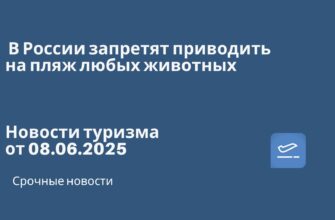 Новости - В России запретят приводить на пляж любых животных. Новости туризма от 08.06.2025