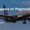 Новости - Распродажа от Pegasus!