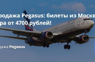 Билеты из... - Распродажа Pegasus на сентябрь-октябрь: билеты из Москвы в Турцию, ОАЭ, Оман и Кыргызстан за 4900 рублей!