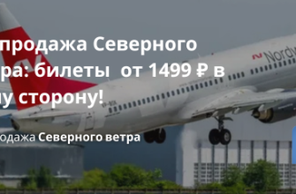 Билеты из... - Распродажа Северного Ветра: билеты от 1499 ₽ в одну сторону!