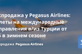 Распродажи - Распродажа у Pegasus Airlines: билеты на международные направления в/из Турции от $25 в зимнем сезоне!